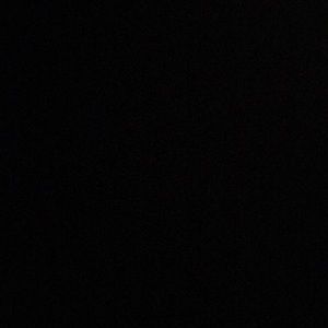 Meet your Posher, Kinsley